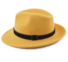 Mon Fedora