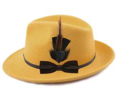Mon Fedora