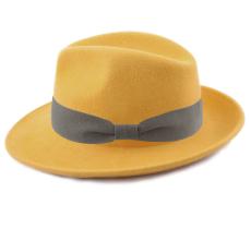 Mon Fedora
