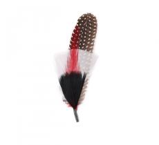 Duo de plumes bp5237
